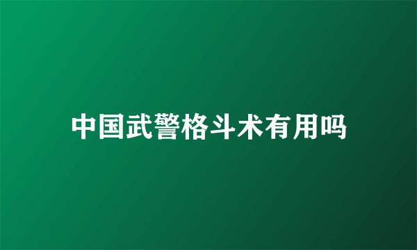 中国武警格斗术有用吗