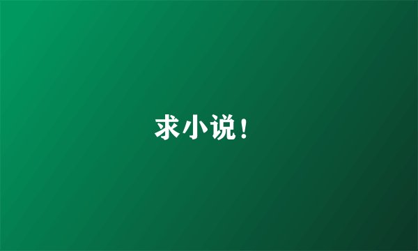 求小说！
