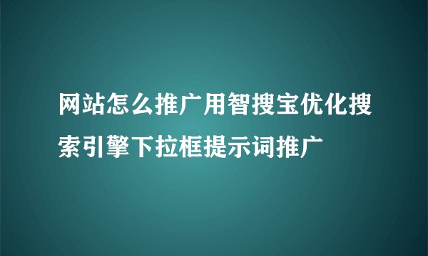 网站怎么推广用智搜宝优化搜索引擎下拉框提示词推广