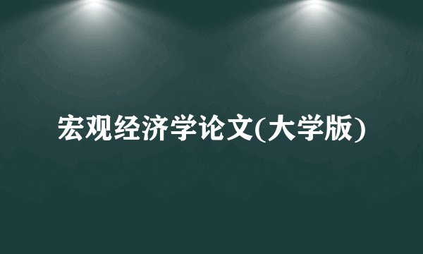 宏观经济学论文(大学版)