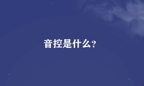 音控是什么？