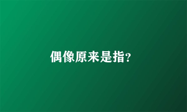 偶像原来是指？