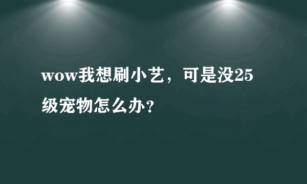 wow我想刷小艺，可是没25级宠物怎么办？