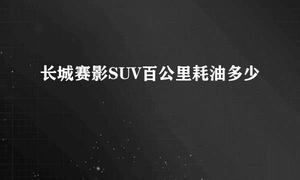 长城赛影SUV百公里耗油多少