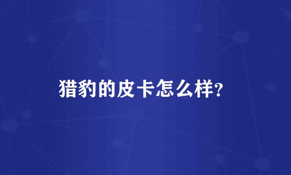 猎豹的皮卡怎么样？