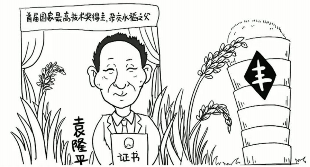 袁隆平的手抄报怎么画？