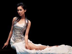 黄圣依杨子对视哭了,两人目前的感情处于什么状态?