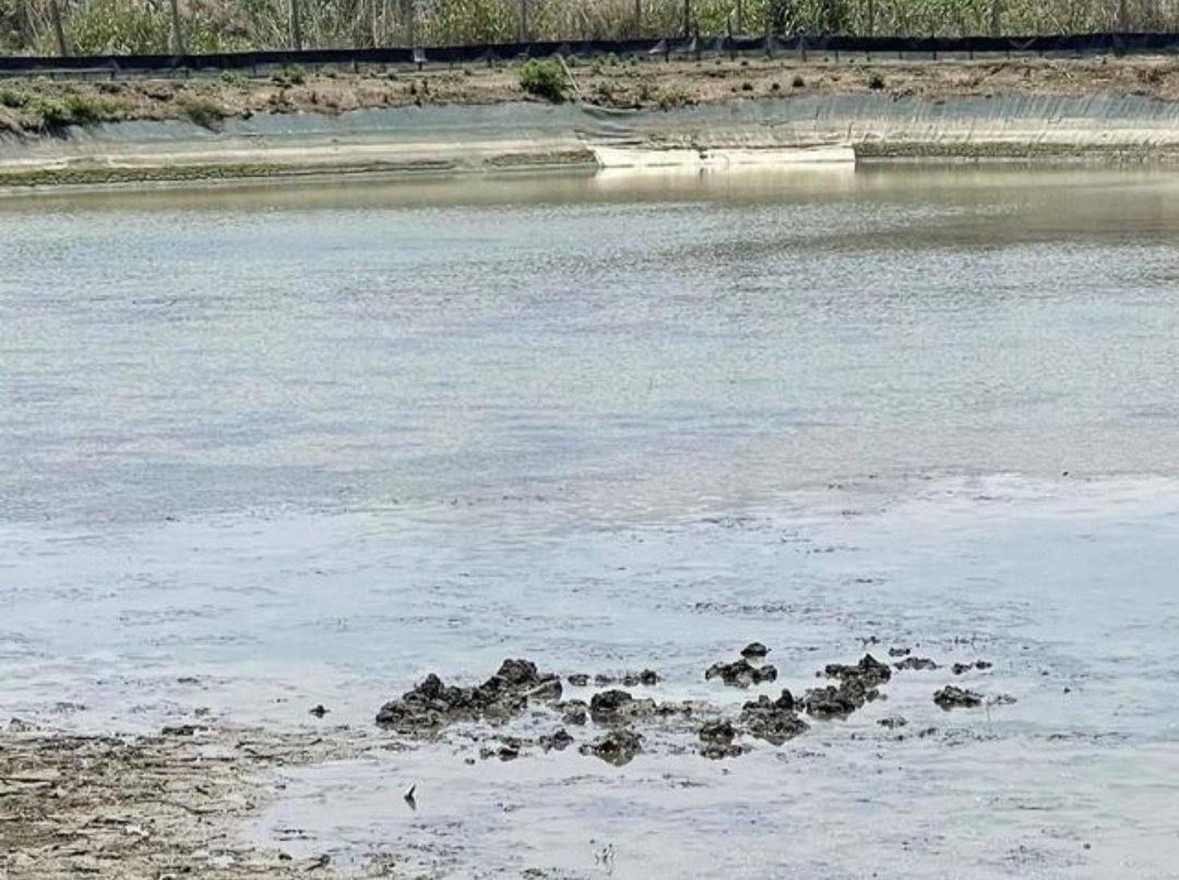 浙江嘉兴上空掉下不明物体,到底是怎么回事?