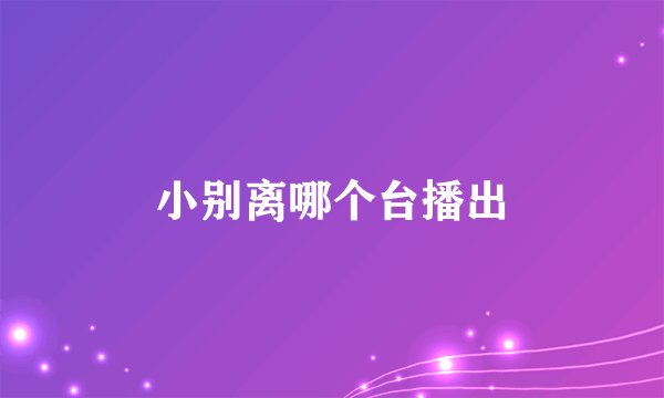 小别离哪个台播出