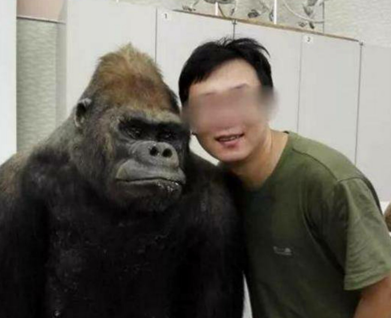 中山大学:停止张鹏任教资格,说说你对高校性骚扰的看法?