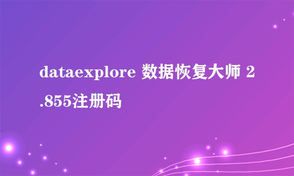 dataexplore 数据恢复大师 2.855注册码