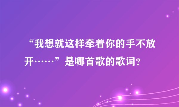 “我想就这样牵着你的手不放开……”是哪首歌的歌词？
