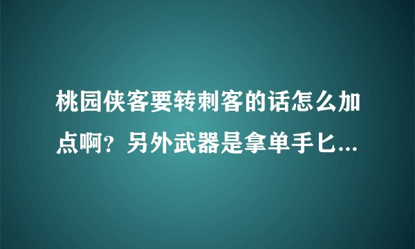 桃园侠客要转刺客的话怎么加点啊？另外武器是拿单手匕首好还是双持匕首好呀？ 求解！！！！