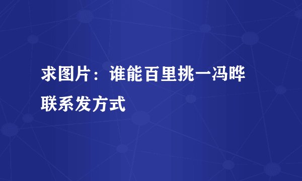 求图片：谁能百里挑一冯晔旸联系发方式