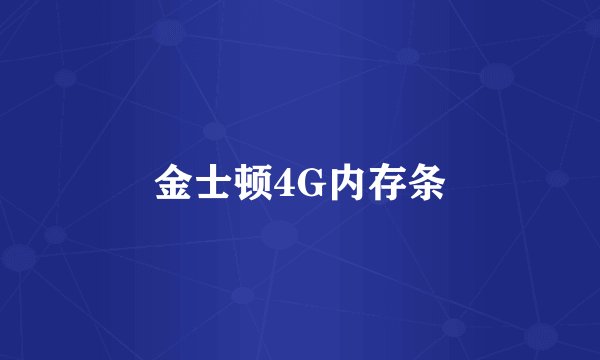 金士顿4G内存条