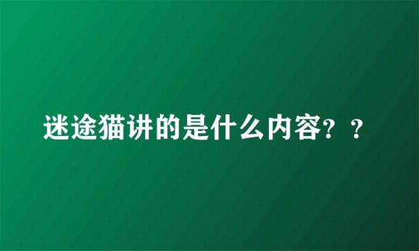 迷途猫讲的是什么内容？？