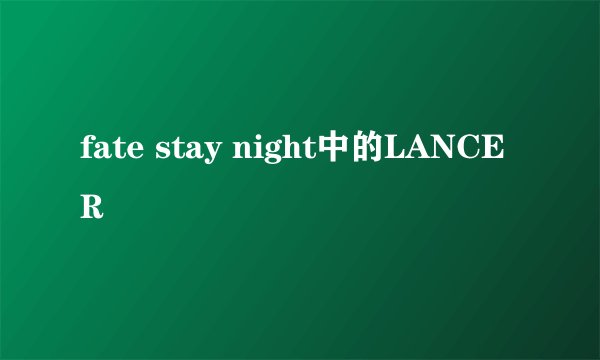 fate stay night中的LANCER