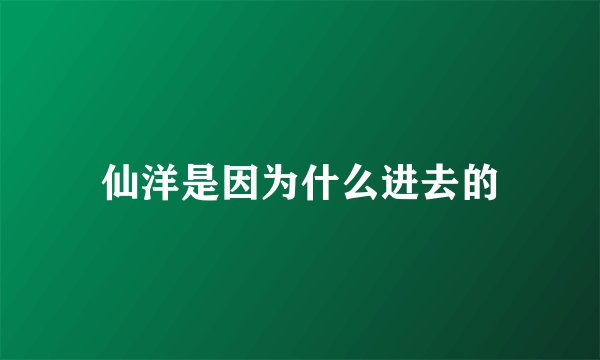 仙洋是因为什么进去的