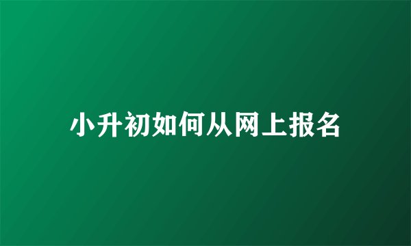 小升初如何从网上报名