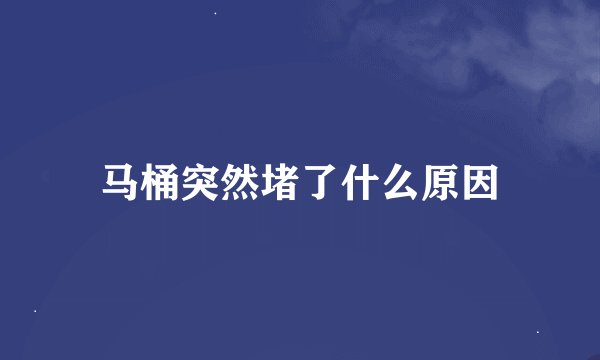 马桶突然堵了什么原因