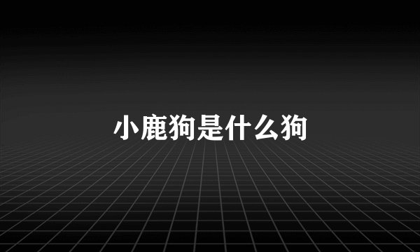 小鹿狗是什么狗