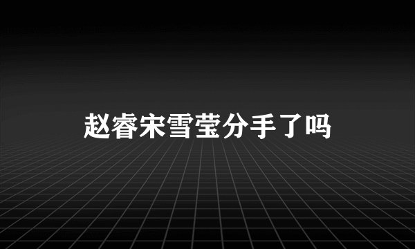 赵睿宋雪莹分手了吗