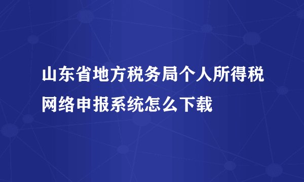 山东省地方税务局个人所得税网络申报系统怎么下载
