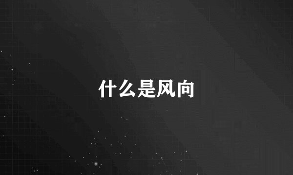 什么是风向
