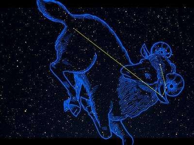 十二星座的幸运水果是什么？
