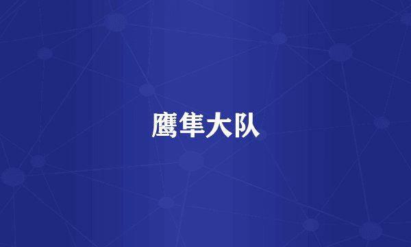 鹰隼大队