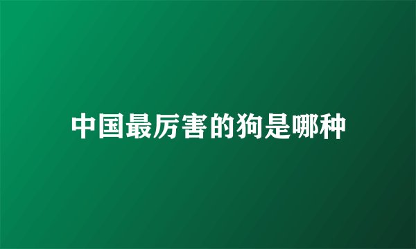 中国最厉害的狗是哪种