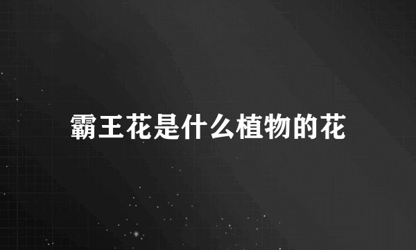 霸王花是什么植物的花