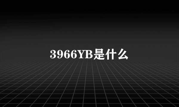3966YB是什么