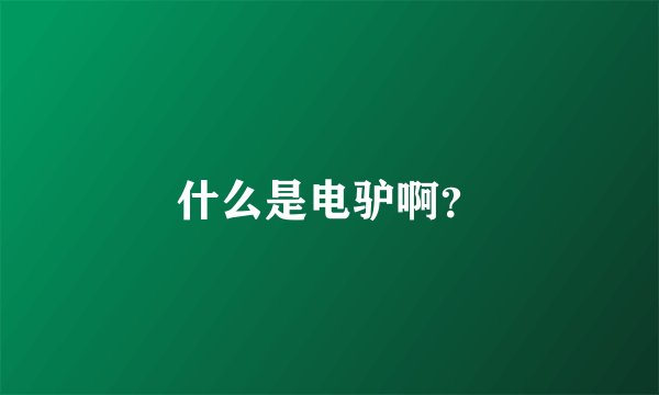什么是电驴啊？
