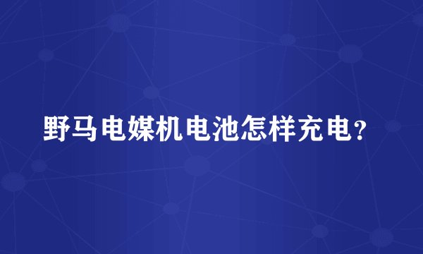 野马电媒机电池怎样充电？