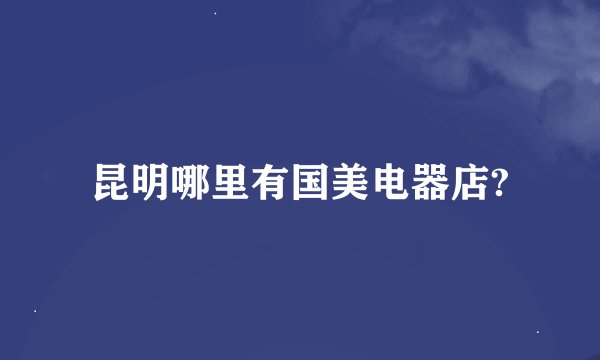昆明哪里有国美电器店?