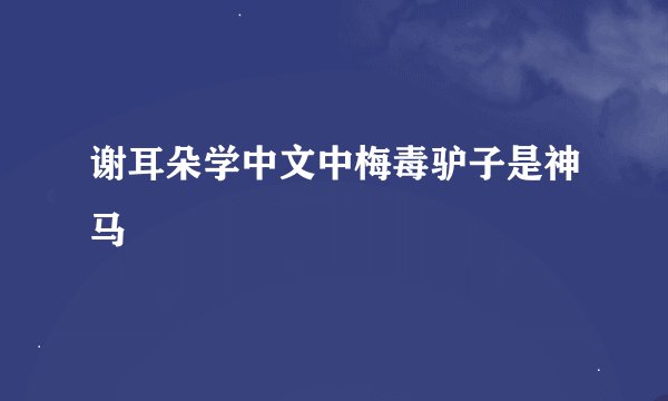 谢耳朵学中文中梅毒驴子是神马