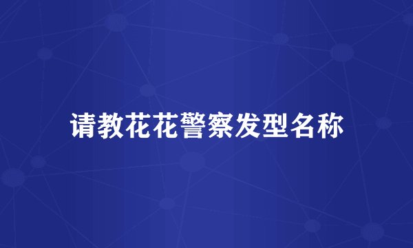请教花花警察发型名称
