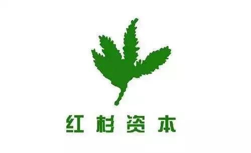 红杉资本和红杉资本中国基金是什么关系？