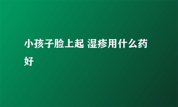 小孩子脸上起 湿疹用什么药好