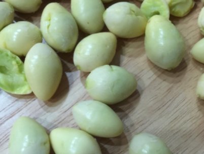 白果的功效与作用及食用方法
