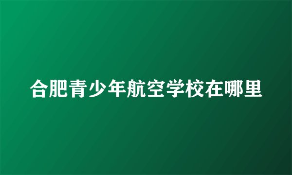 合肥青少年航空学校在哪里