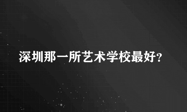 深圳那一所艺术学校最好？