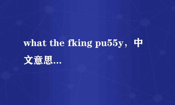 what the fking pu55y，中文意思是什么？