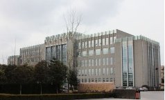 “国税局稽查局”和“国税局”相比，各自都有什么优缺点？