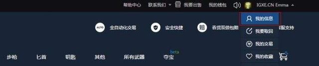 igxe买的东西怎么取回steam？