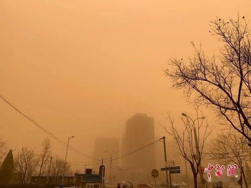 14省区市将出现扬沙或浮尘天气，导致这种天气的根本原因是什么？