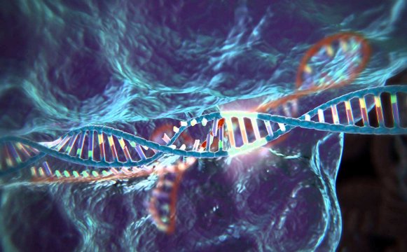 DNA存储什么时候能被人类实现呢？