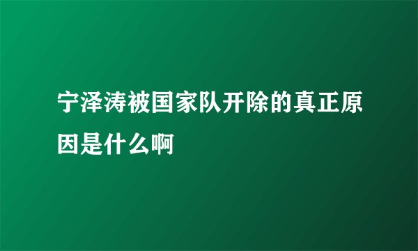 宁泽涛被国家队开除的真正原因是什么啊