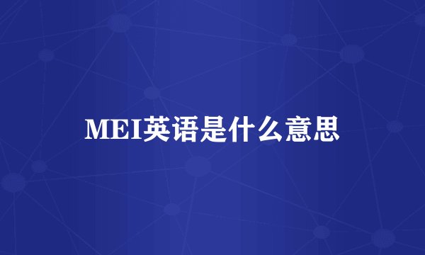 MEI英语是什么意思